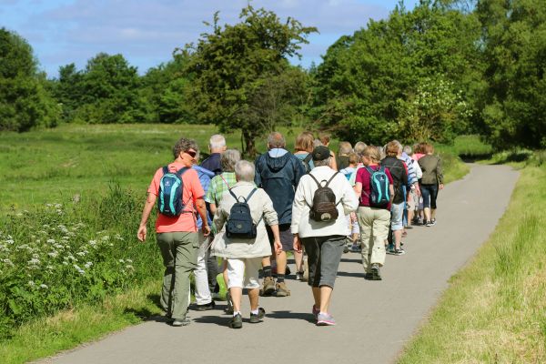 Foto Doetinchemse wandelchallenge (1).jpg